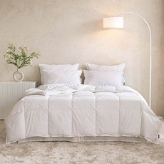 ELENA HEIM La Privee羽絨四季被胎四季被芯, 白色的