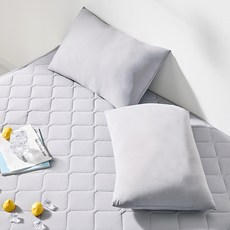 BeneBedding 涼爽可水洗夏季涼感抱枕 2入, 灰色