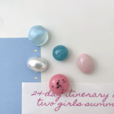 데미무드 베리쿠키 냉장고 마그넷 5종 세트, 혼합색상