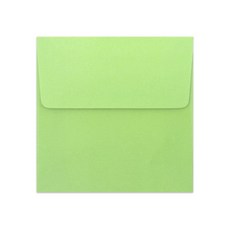 2Youngdesign 方形信封, 綠色, 50個