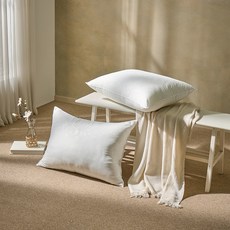 휴가드 빨아쓰는 진드기방지 베이직 베개솜, 화이트, 3개