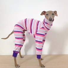 DOGGY STAR 義大利格雷伊獵犬條紋連身衣, 粉紅色 + 紫色