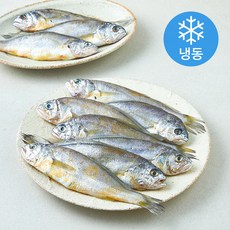 초록바다 굴비 2미 (냉동), 5개, 1000g