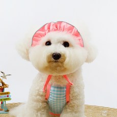 狗狗格紋比基尼, 藍色