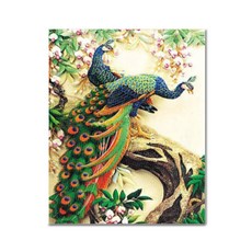 ADICO DIY 鑽石畫 一對孔雀 40 x 50 cm BEE12, 混合色, 1個