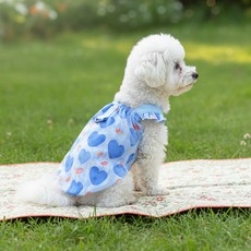 웨이비데이즈 반려동물 똑딱 여름 하트 티셔츠 W265-0185, 블루(W265-0185BU2X), 1개