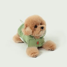 Laughing Charlie 狗狗可愛保暖內刷毛連帽斗篷, 綠色, 1件