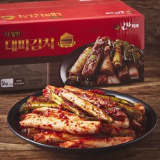 더알찬 대파김치, 5kg, 1개