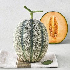 제이드가든 칸탈로프 메론, 1.2kg, 1개