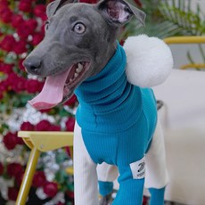 강아지 그라다 올인원, 오션블루, 1개