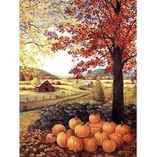 Daysoy 美麗季節風景 鑽石畫 DIY套組 30 x 40 cm, 03 秋天, 1套