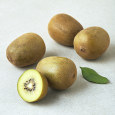 농협 제주 골드키위, 1개, 500g