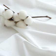 DAYMADE 棉 90 70 40支 平織布料, 白色