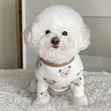 bydamsoomi 狗狗泰迪熊針織衫, 象牙白