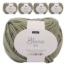 브랜드얀 블랑 뜨개실 5p, 인디 연카키(709)