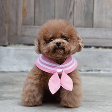 ZAZAZOO 萌少女戰士水手領巾 + 水手結 小兔款, 粉紅色, 1組