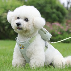 Lanboer 寵物太空人背包胸背帶套組, 綠色, 1套