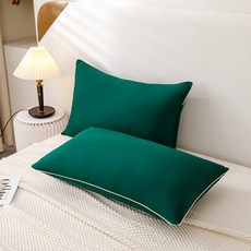 SOHEIM 可水洗四季拉鍊枕頭, 暮光綠, 2個