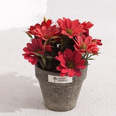 플라워트리 조화 엔틱데이지 원형 화분 세트, 레드(조화), 1개