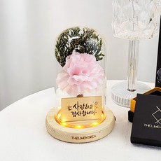 Thelimekorea 簡約人造康乃馨香皂花玻璃罩