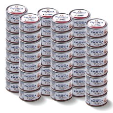 퍼시피카 튜나 위드 칠리, 150g, 48개