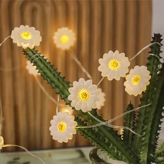 Quardi LED 室內裝飾 USB 燈串 50燈 5m, 向日葵 白色