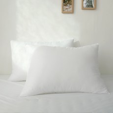 after6 步步高升枕芯 2入, 單色