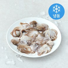 비비수산 살아있을때 얼린 주꾸미 (냉동), 1개, 400g