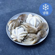 The더착한 활쭈꾸미 (냉동), 1개, 1kg(150/200)