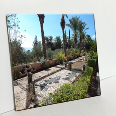 HTTP 磁磚 以色列棕櫚樹街 C2395