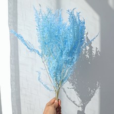 GAPANG 乾燥花 DRYJ143, 04號