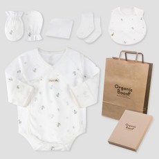 Organic Boom 嬰幼兒 龍年 夏季 新生兒連身衣 + 圍兜 + 防抓手套 + 襪子 + 手帕 + 禮盒組 + 提袋