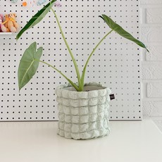 DECOTONIK 跳跳糖花盆套, 薄荷綠