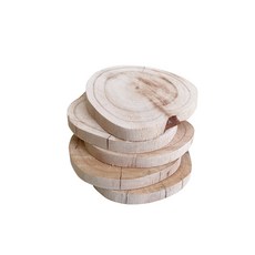 모비딕 절단 유목 5p, 5개