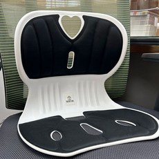 밸류템 인체공학 바른 자세교정 공부 의자 일반, 블랙