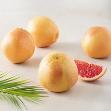 다조은 남아공산 자몽, 1팩, 1.5kg(4~5입)