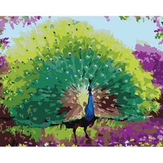 Aiemmini DIY 星光畫+光纖心情燈套組 40 x 50cm, 孔雀