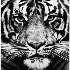 花朵繪畫DIY名畫繪製 40*50cm, L210反鏟