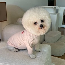 bydamsoomi 狗狗條紋微笑T恤, 粉紅色