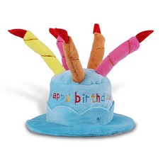 DING DONG PET 寵物生日派對蛋糕帽, 藍色