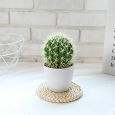 온업 조화 인조 선인장 화분, 화분 2, 1개