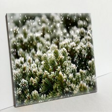 UDP 磁磚相框 A型 3886278, 單色