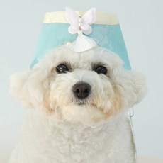 반려동물 이른 봄 매화 조바위, 민트, 1개