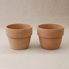 morningscent 바소 팔라디오 아레나 화분 2p, 혼합색상, 2개