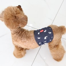 RAREMINX 印花寵物禮貌帶 藍色, 大型, 1件, 1個