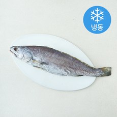 the 푸짐한 국내산 프리미엄 손질 통민어 (냉동), 1개, 500g