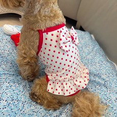 Jubico 狗狗圓點泳衣, 紅色, 1個