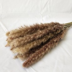 JM人造小蘆葦 2入, 原色