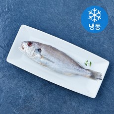 손질 백조기 (냉동), 1개, 220g