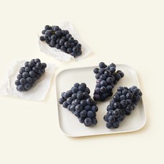 새벽시장 캠벨 포도, 1개, 1kg